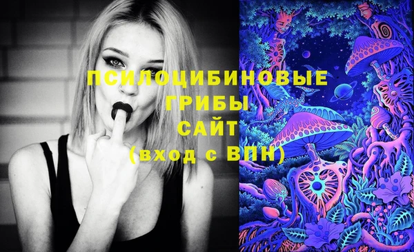 шишки Зеленокумск