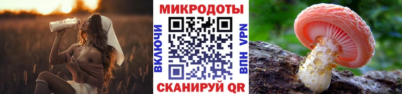 Купить где  Казань  Галлюциногенные грибы GOLDEN TEACHER 